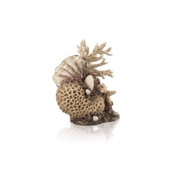 Biorb Coral-shells ornament natural