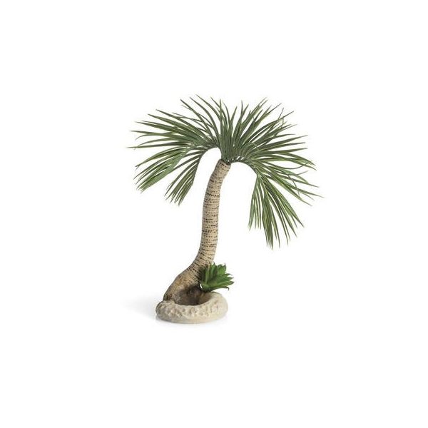 biOrb palm tree Seychelles L