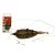 CARP EXPERT METHOD RIG CSALITÜSKÉVEL 30G 7MM