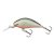 SALMO WOBBLER HORNET H4F GS