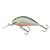 SALMO WOBBLER HORNET H5F GS