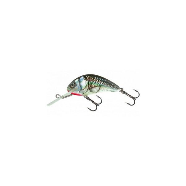 SALMO WOBBLER HORNET H9F HGS