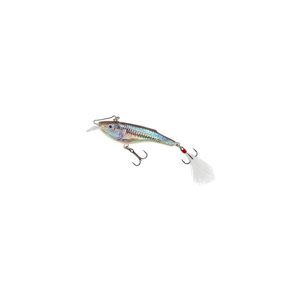 SALMO WOBBLER RAIL SHAD RB6S SSH