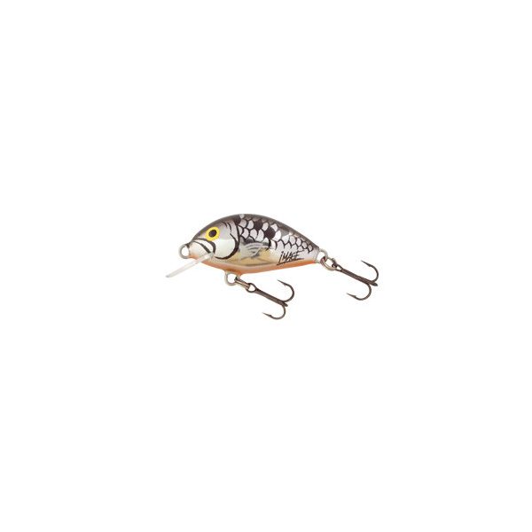 SALMO WOBBLER TINY IT3F SI