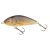 SALMO WOBBLER FATSO F10F RR