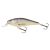 SALMO WOBBLER EXECUTOR IEX5SRF RD