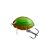 SALMO WOBBLER LIL BUG BG2F GBG