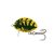 SALMO WOBBLER LIL BUG BG2F WSP