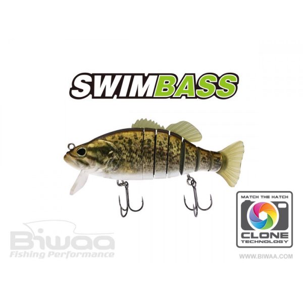 SWIMBASS 6" SLOW SINK 15cm 65gr 35 Smallie