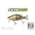 SWIMBASS 6" SLOW SINK 15cm 65gr 12 Carassin